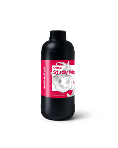 Phrozen Dental Study Model - White